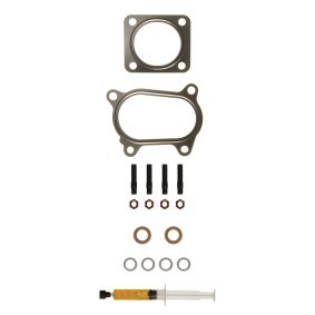 Acquista Kit montaggio turbocompressore da ALANKO 10920922 a buon mercato per soli 22,36 €