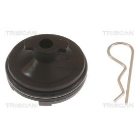 Verschlußschraube, Ölwanne 9500 1023 von TRISCAN günstig für 13,44 € online kaufen