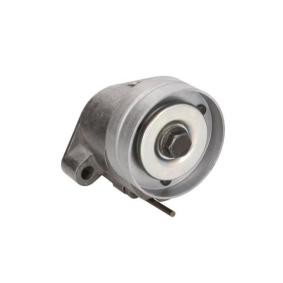 Spannrolle, Keilrippenriemen E3X0006BTA von BTA günstig für 67,08 € online kaufen