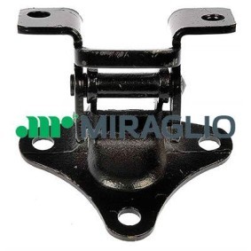 Acquista Cerniera portiera da MIRAGLIO 35/144 a buon mercato per soli 22,84 €