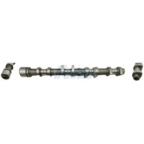 Nockenwelle CM05-2345 von FRECCIA günstig für 147,59 € online kaufen