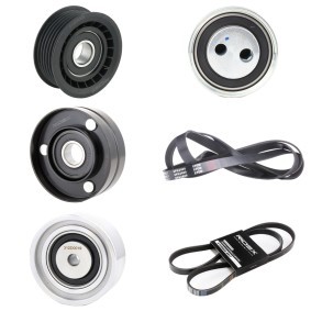 Acquista Kit Cinghie Poly-V da RIDEX 542R0220 a buon mercato per soli 87,95 €