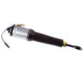 Compre Amortecedor pneumático da DENCKERMANN DSA010G a um preço baixo por 694,20 €