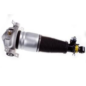 Compre Amortecedor pneumático da DENCKERMANN DSA016G a um preço baixo por 838,82 €