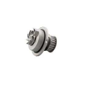 Køb Vandpumpe af BSG BSG 65-500-017 til den lave pris 400,40 DKK
