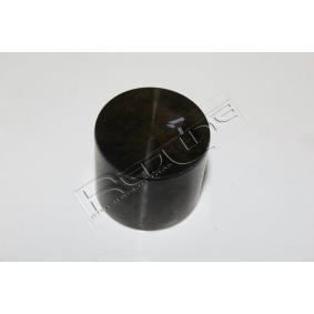 Hydrostößel 17HY008 von RED-LINE günstig für 41,48 € online kaufen