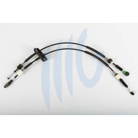 Acquista Cavo comando, Cambio manuale da RICAMBIFLEX GM 01269101 a buon mercato per soli 197,66 €
