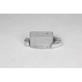 Acquista Radiatore olio motore da BSG BSG 15-506-035 a buon mercato per soli 87,88 €