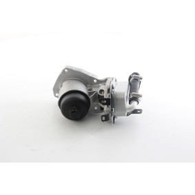 Acquista Radiatore olio motore da BSG BSG 15-507-001 a buon mercato per soli 122,43 €
