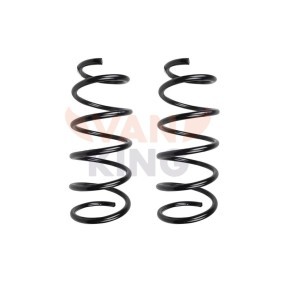 Fahrwerksfeder FT12227K von FAST günstig für 45,12 € online kaufen