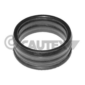 Dichtung, Wasserpumpe 751981 von CAUTEX günstig für 5,05 € online kaufen
