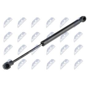 Acquista Ammortizzatore pneumatico cofano motore da NTY AE-VW-067 a buon mercato per soli 11,99 €
