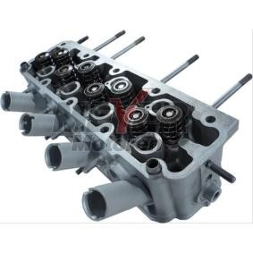 Zylinderkopf 033039500 von MEYER MOTOREN günstig für 957,77 € online kaufen