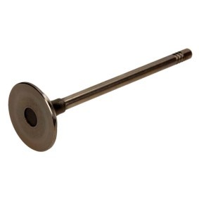 Auslaßventil PPEU039-A-0-N von AMP günstig für 15,76 € online kaufen