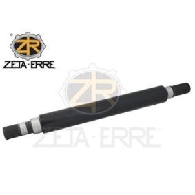 Gelenksatz, Antriebswelle ZR7204 von ZETA-ERRE günstig für 117,55 € online kaufen