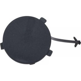 Klappe, Abschlepphaken 4234164 von DIEDERICHS günstig für 16,27 € online kaufen