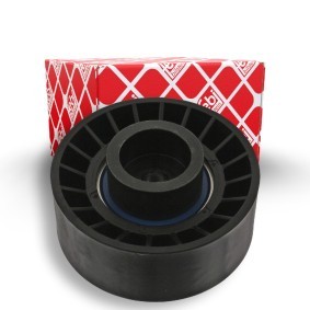 Umlenk- / Führungsrolle, Keilrippenriemen 24407 von FEBI BILSTEIN günstig für 17,55 € online kaufen