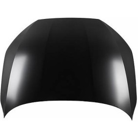 Motorhaube 1034000 von DIEDERICHS günstig für 361,44 € online kaufen