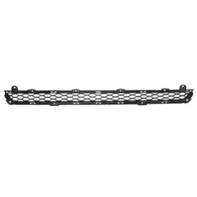 Acquista Griglia paraurti da BLIC 6502-07-3289913P a buon mercato per soli 15,24 €