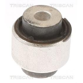 Acquista Supporto braccio oscillante da TRISCAN 8500 81805 a buon mercato per soli 17,40 €
