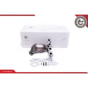 Acquista Catalizzatore da ESEN SKV 62SKV013 a buon mercato per soli 296,69 €