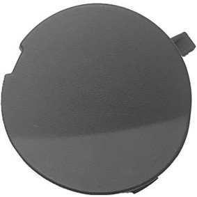 Klappe, Abschlepphaken 4570066 von DIEDERICHS günstig für 18,43 € online kaufen