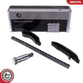 Steuerkettensatz 21SKV249 von ESEN SKV günstig für 63,94 € online kaufen
