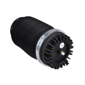 Luftfeder, Fahrwerk 1120-01-36AB von MiesslerAutomotive günstig für 432,89 € online kaufen