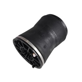 Compre Mola pneumática da MiesslerAutomotive 1893-01-0001 a um preço baixo por 474,95 €