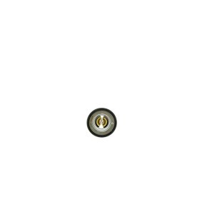 Thermostat von AISIN für Defender Pickup (L316) günstig online kaufen