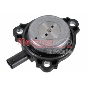 Zentralmagnet, Nockenwellenverstellung 2411064 von METZGER günstig für 44,22 € online kaufen