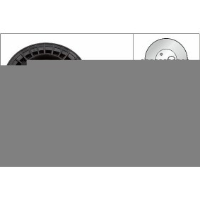 Compre Rolo tensor, correia trapezoidal estriada de INA online para X3 (G45) a preços moderados