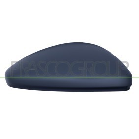 Compre Revestimento, retrovisor exterior da PRASCO PG3307413 a um preço baixo por 23,74 €
