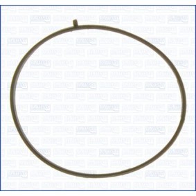 Dichtung, Drosselklappe 01216100 von AJUSA günstig für 10,30 € online kaufen