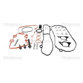 Zahnriemensatz 8647 10099 von TRISCAN günstig für 231,72 € online kaufen