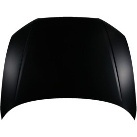 Motorhaube 1033401 von DIEDERICHS günstig für 195,46 € online kaufen
