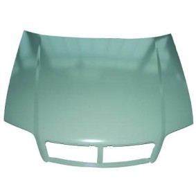 Motorhaube 1025000 von DIEDERICHS günstig für 247,86 € online kaufen