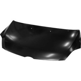 Motorhaube 5681000 von DIEDERICHS günstig für 194,45 € online kaufen