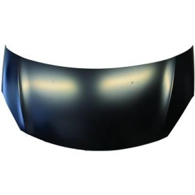 Motorhaube 4006000 von DIEDERICHS günstig für 171,22 € online kaufen