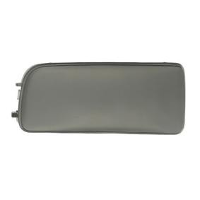 Acquista Griglia paraurti da BLIC 5513-00-0060925P a buon mercato per soli 10,19 €