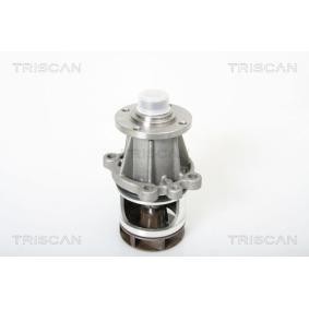 Wasserpumpe 8600 11965 von TRISCAN günstig für 55,80 € online kaufen
