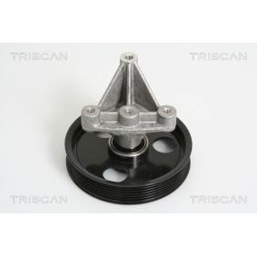 Umlenk- / Führungsrolle, Keilrippenriemen 8641 102031 von TRISCAN günstig für 85,08 € online kaufen