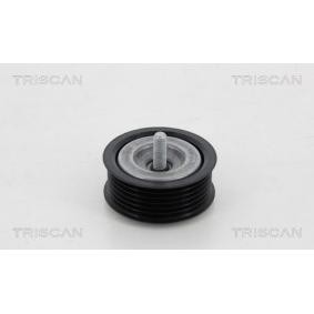 Umlenk- / Führungsrolle, Keilrippenriemen 8641 231016 von TRISCAN günstig für 35,78 € online kaufen
