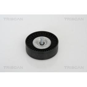 Umlenk- / Führungsrolle, Keilrippenriemen 8641 232009 von TRISCAN günstig für 24,10 € online kaufen