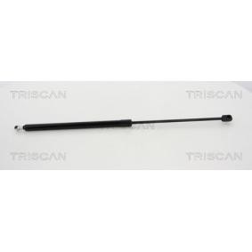 Motorhaubendämpfer 8710 20108 von TRISCAN günstig für 54,49 € online kaufen