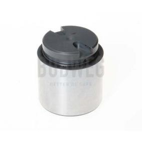 Compre Êmbolo, pinça do travão da BUDWEG CALIPER 234867 a um preço baixo por 33,79 €