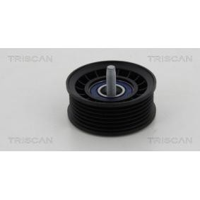 Umlenk- / Führungsrolle, Keilrippenriemen 8641 232024 von TRISCAN günstig für 28,56 € online kaufen