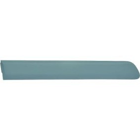 Zierleiste für die Tür 3485722 von DIEDERICHS günstig für 18,52 € online kaufen
