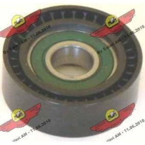 Umlenk- / Führungsrolle, Keilrippenriemen 03.81092 von AUTOKIT günstig für 84,17 € online kaufen