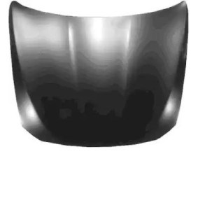 Motorhaube 0617670 von VAN WEZEL günstig für 670,54 € online kaufen